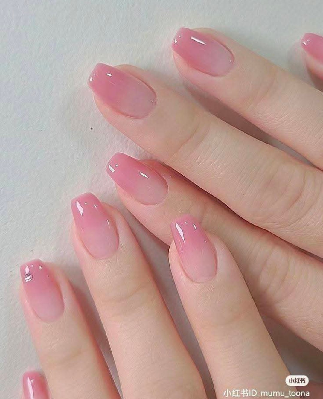 Servicio OHGA SPA